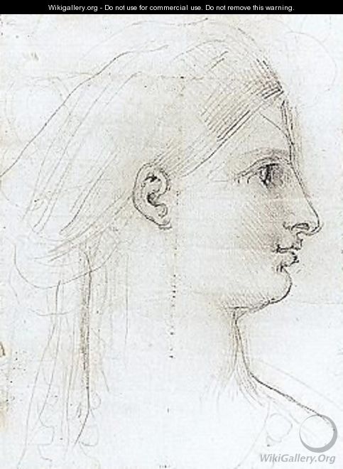 Portrait Of A Lady - Johann Henry Fuseli