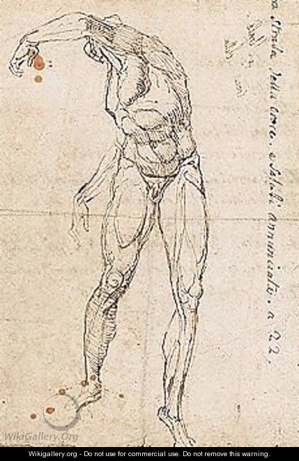 Study Of A Male Nude - Johann Henry Fuseli