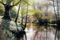 Flodlandskab (A River Landscape In Springtime) - Peder Monsted
