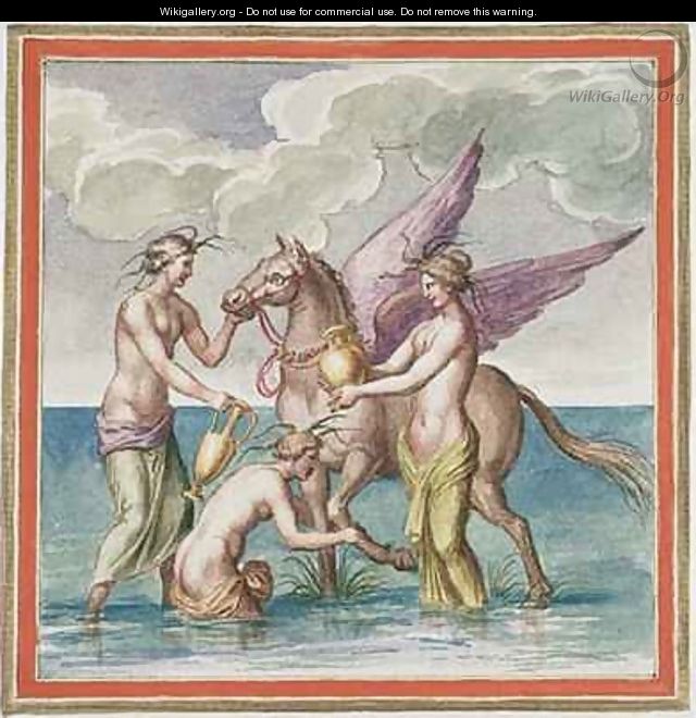 Ms Gen 1496 Plate XXX Pegasus - Pietro Santi Bartoli