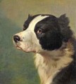 Head of a Sporting Dog - Ranelagh Barret