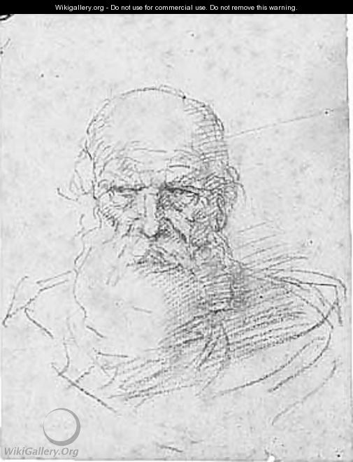 Study Of A Bearded Man, Head And Shoulders - (after) Simone Cantarini (Pesarese)