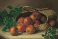 Apples And Holly - Eloise Harriet Stannard