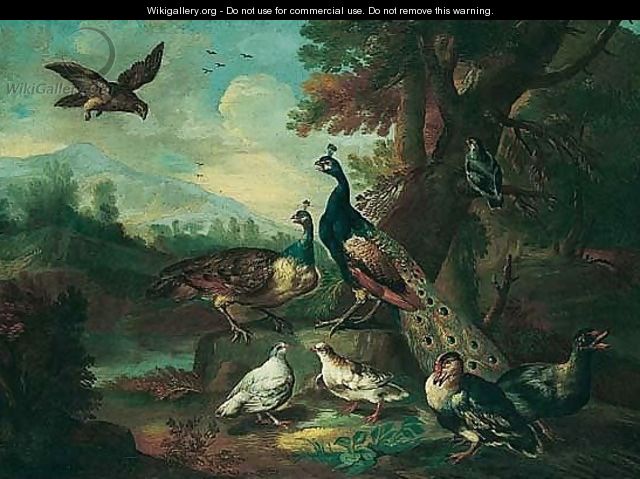 An autumnal landscape with a falcon, two peacocks, and other poultry - (after) Angelo Maria Crivelli, Il Crivellone