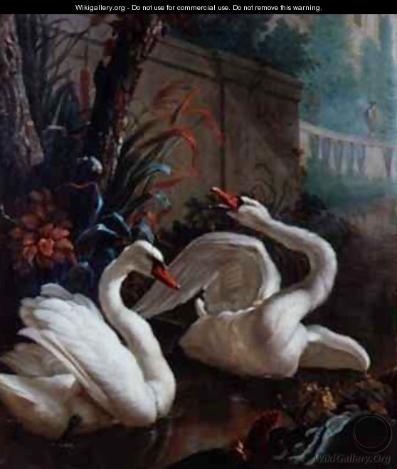 A Pair of Mute Swans in a Pond - Abraham Bisschop