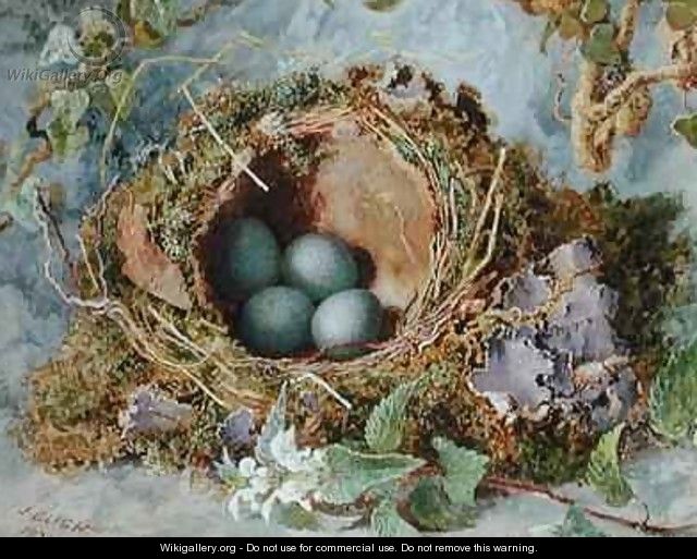 A Nest of Eggs - Jabez Bligh