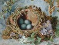 A Nest of Eggs - Jabez Bligh