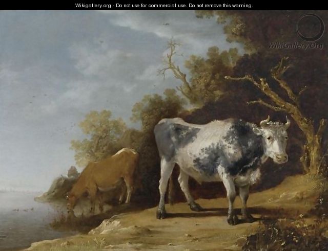 Cattle Standing On A Riverbank - Paulus Potter