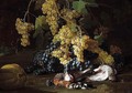 Still life of red and white grapes, together with a hoopoe - (after) Franz Werner Von Tamm