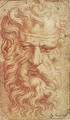 Study of the head of a bearded man - (after) Girolamo Francesco Maria Mazzola (Parmigianino)