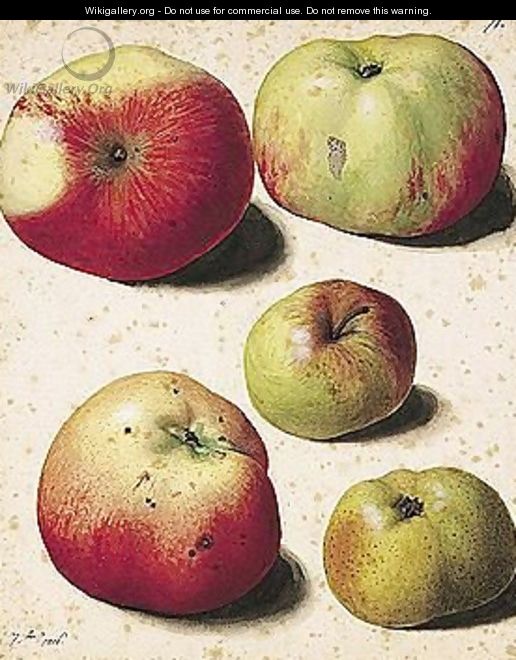 Five Apples - (after) Pierre-Joseph Redoute