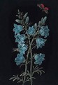 A Delphinium With A Butterfly - Barbara Regina Dietzsch