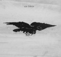 Flying raven - Edouard Manet