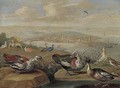 Ducks And Other Birds On The Seashore - Jan van Kessel