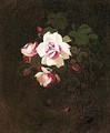 Pink Roses 3 - James Stuart Park