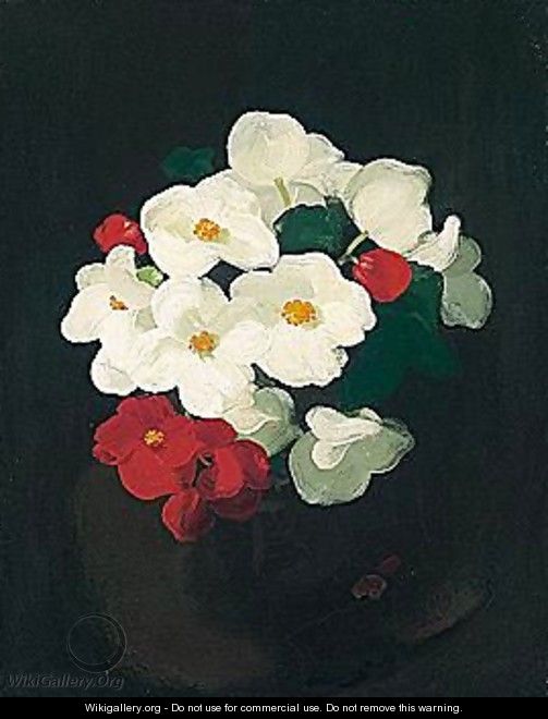 Red And White Christmas Roses - James Stuart Park