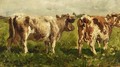 Cows In A Field - Willem Roelofs
