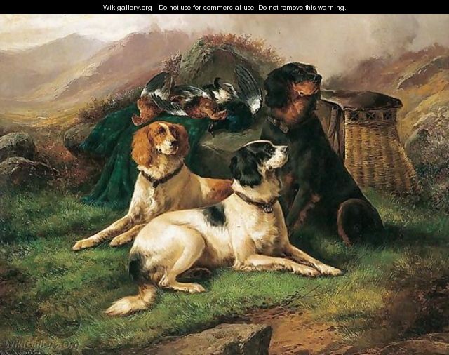 Dogs - J.W. Morris