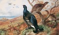 Blackgame - Archibald Thorburn