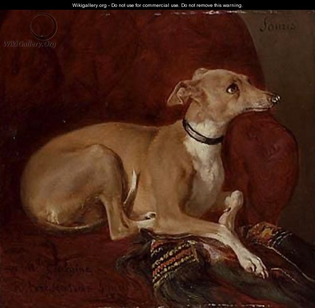A greyhound resting on a chair - Jacques-Raymond Brascassat