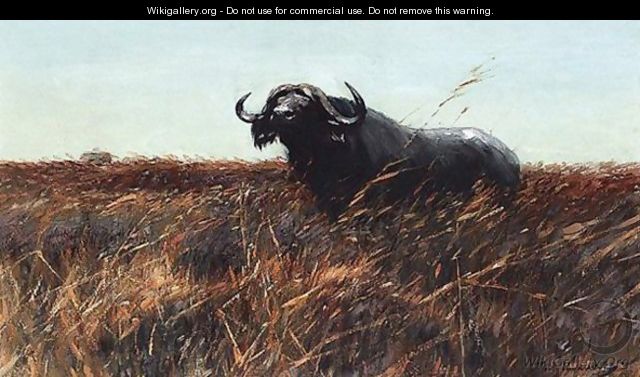 Kafferbuffel Sichernd (Buffalo On The Alert) - Wilhelm Kuhnert