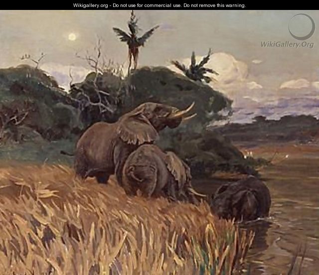 A Herd Of Elephants By Moonlight - Wilhelm Kuhnert
