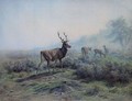 The Deer, Morning Effect (Les Cerfs, Effet Du Matin) - Rosa Bonheur
