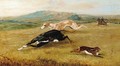 Greyhounds Turning The Hare - Richard Dodd Widdas