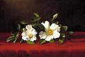 Two cherokee roses on red velvet 1889 - Martin Johnson Heade