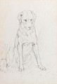 A Dog 2 - Sir Edwin Henry Landseer