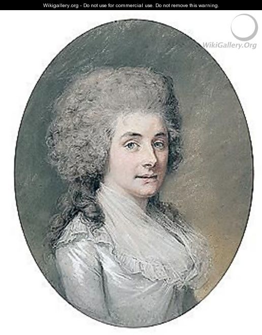 Portrait Of Lady Ellen Newport - Hugh Douglas Hamilton
