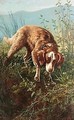 Dog in briars - Carlo Ademollo