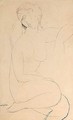 Femme Nue Assise 2 - Amedeo Modigliani