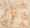 Figure and head studies - Florentine School