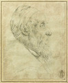 Self-Portrait in profile - Tiziano Vecellio (Titian)