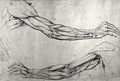 Study of arms - Leonardo Da Vinci