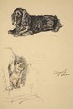 Spaniel and Chow - Cecil Charles Aldin