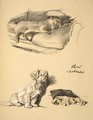 Chow and Pekinese - Cecil Charles Aldin
