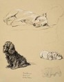 Bull-Terrier, Spaniel and Sealyhams - Cecil Charles Aldin
