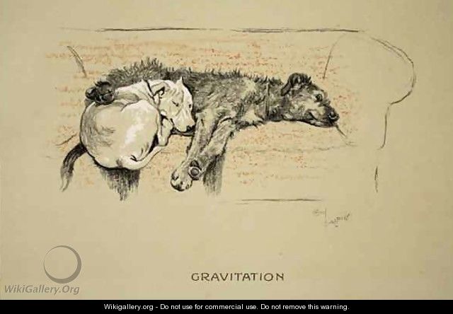 Gravitation - Cecil Charles Aldin