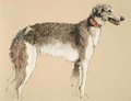 Borzoi - Cecil Charles Aldin