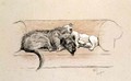 Wolfhound and Bull Terrier Asleep on a Sofa - Cecil Charles Aldin