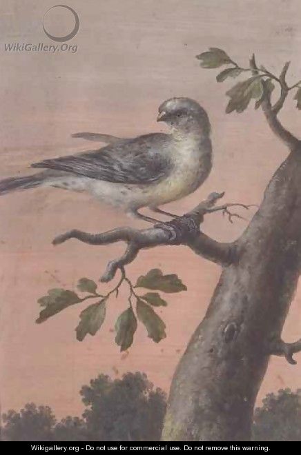 A Bird on a Branch - Christoph Ludwig Agricola