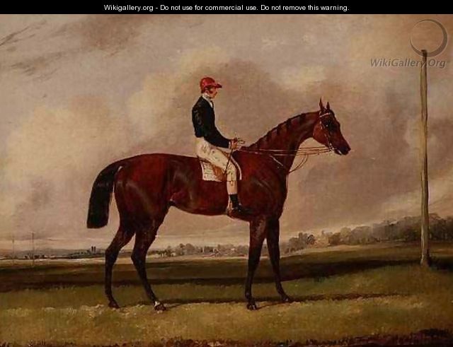 Bay Racehorse with a Jockey on a Racecourse - Henry Thomas Alken