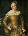 Portrait of the artist's mother, Bianca Ponzoni Anguisciola - Sofonisba Anguissola