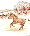 Had the time of my life today. Men in red coats on horses and lots of dogs came galloping across my field - Anne Anderson