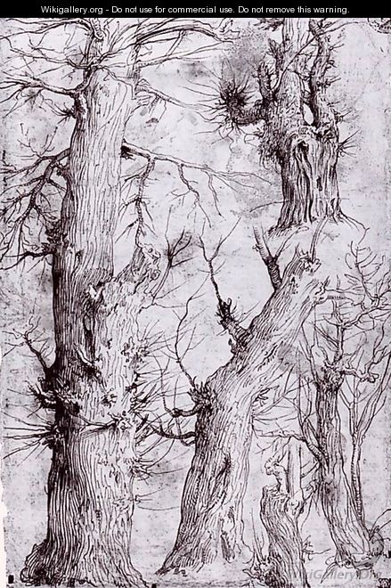 Studies of Trees - Aurelio Luini
