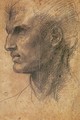 Head of a Man in Profile Facing Left - Andrea Del Sarto