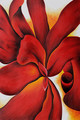 Red Cannas 1 - Georgia O'Keeffe (inspired by)