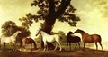 Horses in a Landscape - George Stubbs